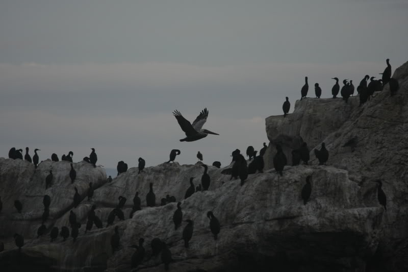 Name:  IMG_9697.jpg
Views: 49
Size:  41.7 KB