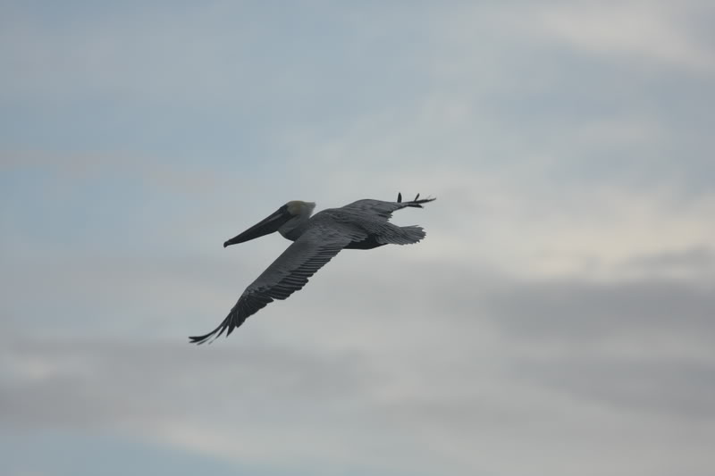 Name:  IMG_9710.jpg
Views: 49
Size:  23.8 KB