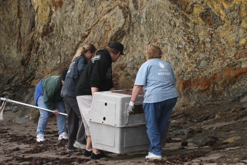 Name:  IMG_9721.jpg
Views: 40
Size:  120.0 KB