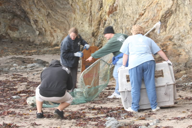 Name:  IMG_9726.jpg
Views: 46
Size:  110.9 KB