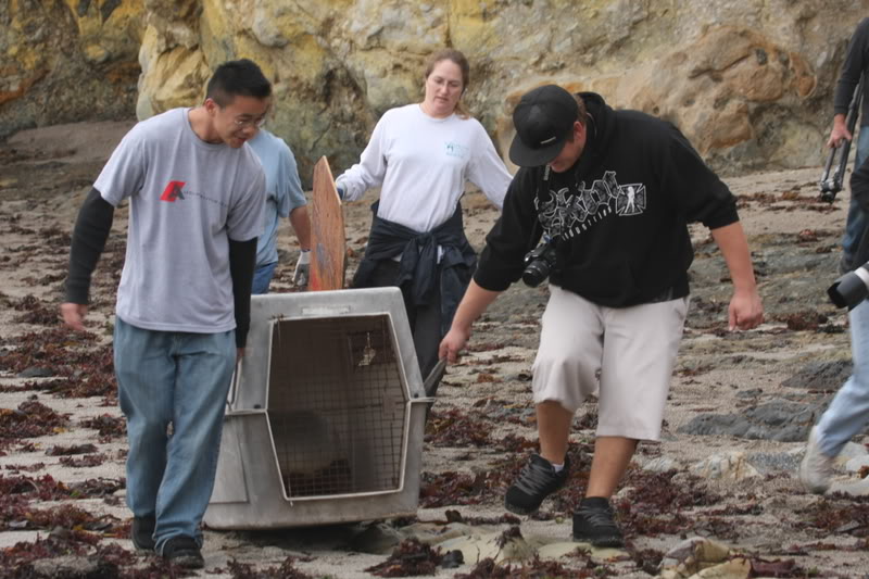 Name:  IMG_9751.jpg
Views: 16
Size:  100.2 KB