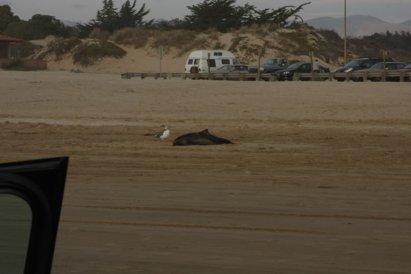 Name:  IMG_9631.jpg
Views: 56
Size:  48.5 KB