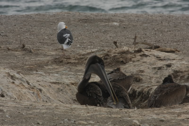 Name:  IMG_9632.jpg
Views: 47
Size:  87.3 KB