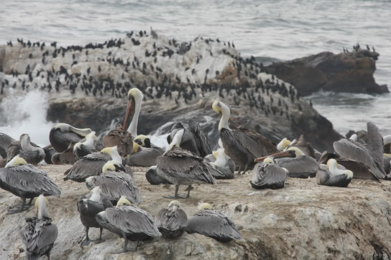 Name:  IMG_9643.jpg
Views: 45
Size:  89.8 KB