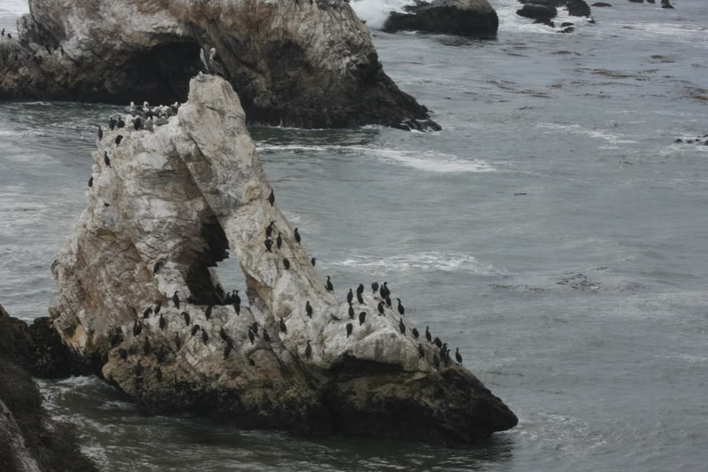 Name:  IMG_9645.jpg
Views: 46
Size:  86.2 KB