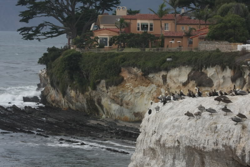 Name:  IMG_9647.jpg
Views: 47
Size:  91.9 KB