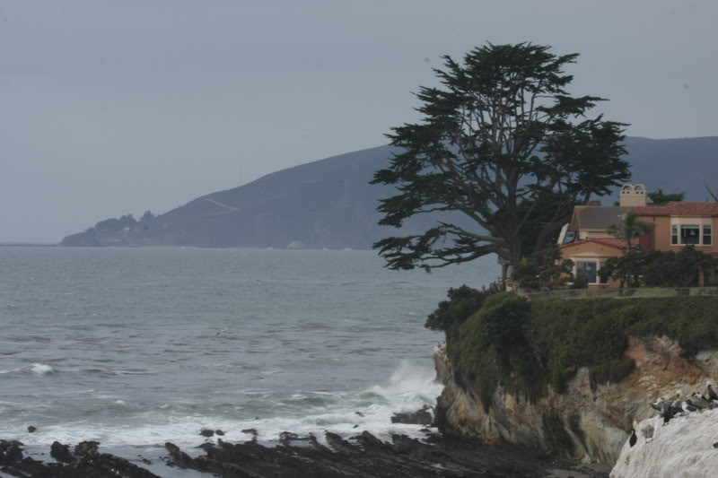 Name:  IMG_9648.jpg
Views: 46
Size:  59.1 KB