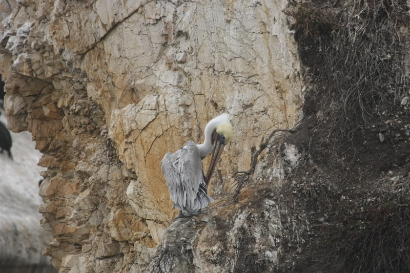 Name:  IMG_9652.jpg
Views: 17
Size:  127.9 KB