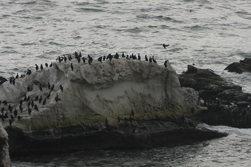 Name:  IMG_9653.jpg
Views: 49
Size:  98.4 KB