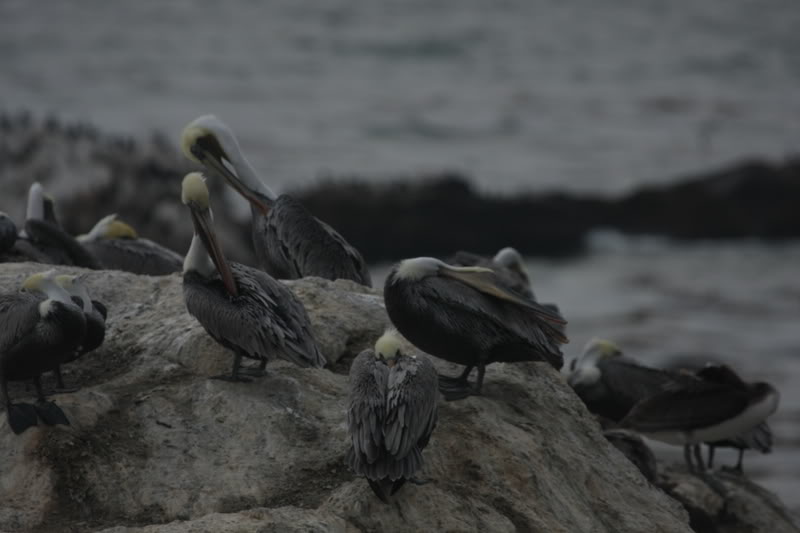 Name:  IMG_9666.jpg
Views: 49
Size:  48.3 KB