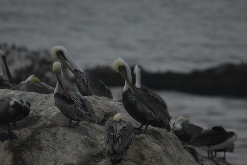 Name:  IMG_9668.jpg
Views: 48
Size:  46.5 KB