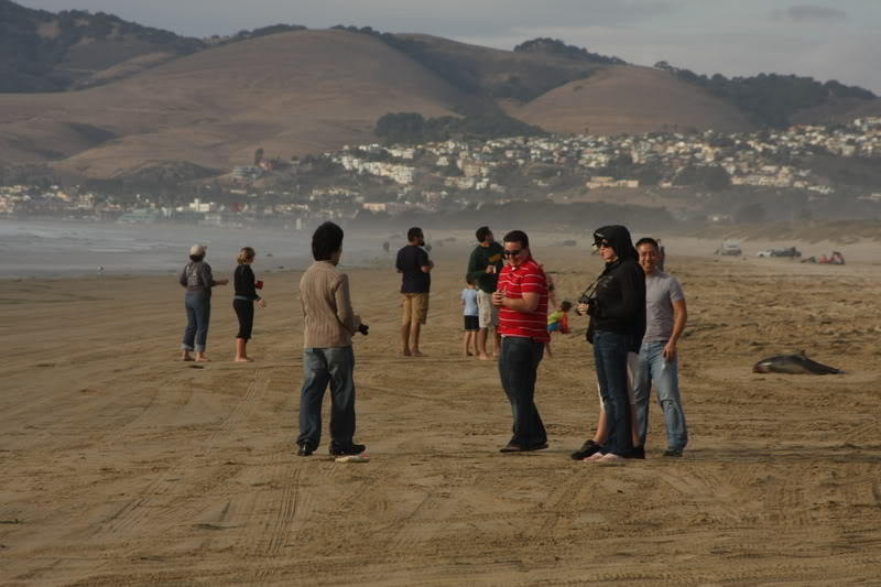 Name:  IMG_9582.jpg
Views: 56
Size:  73.7 KB