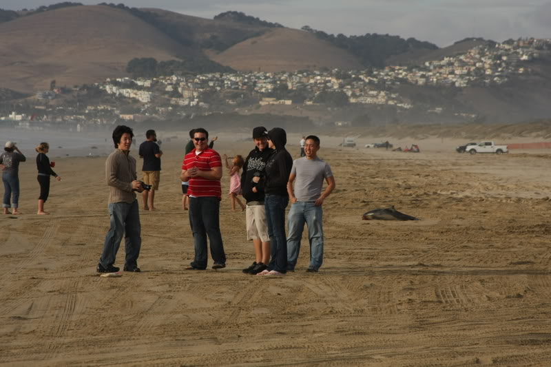 Name:  IMG_9583.jpg
Views: 22
Size:  82.6 KB