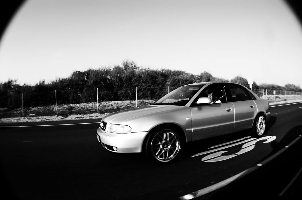 Name:  partynbullshit42607069silver.jpg
Views: 69
Size:  87.4 KB