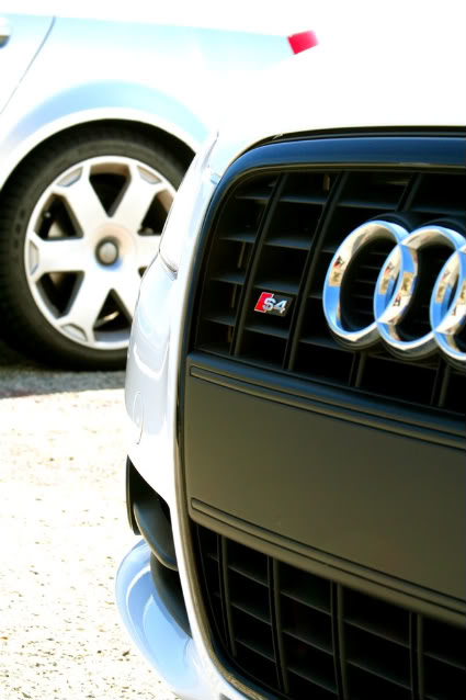 Name:  angcrest7.jpg
Views: 31
Size:  43.9 KB