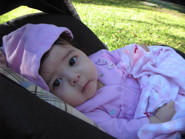 Name:  AFgtgSOLVANG064.jpg
Views: 56
Size:  45.0 KB