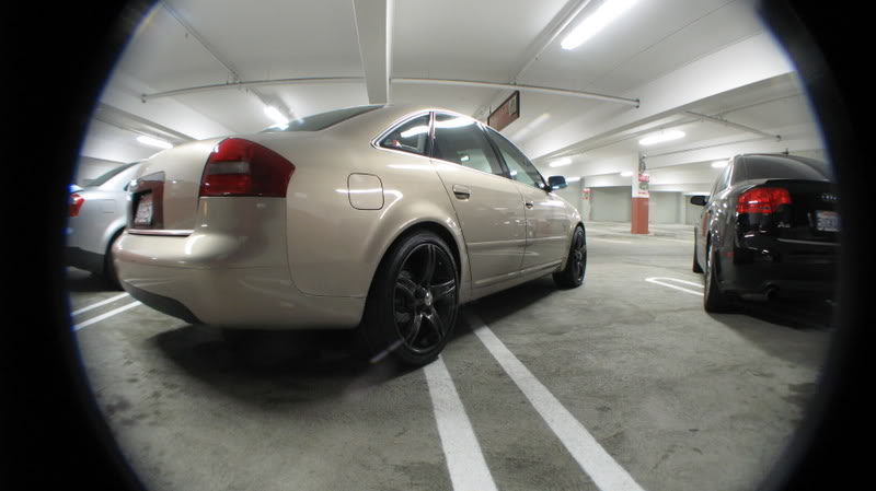 Name:  IMG_7519.jpg
Views: 60
Size:  46.1 KB