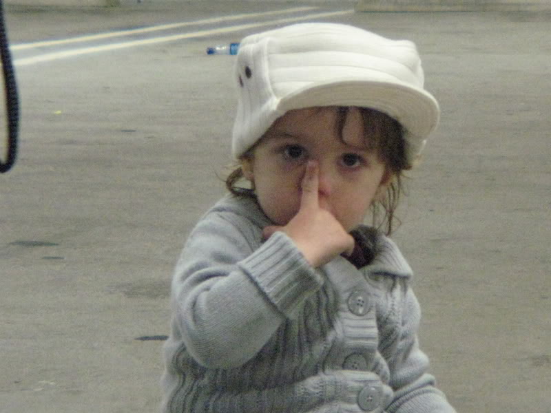 Name:  IMG_7539.jpg
Views: 53
Size:  62.9 KB