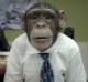 chimpsinties's Avatar