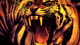 TurboTiger117's Avatar