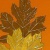 calsdad02's Avatar