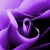 Grams24's Avatar
