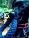 Luvadog's Avatar