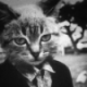 magaizeris's Avatar