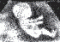 Capo Cam's Avatar